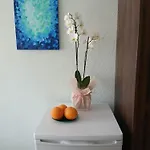 Cozy 홈스테이