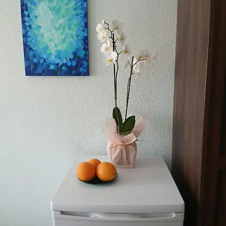 Cozy Séjour chez l'habitant